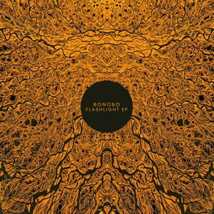 Flashlight EP