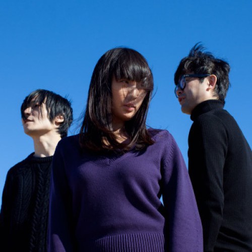 MASS OF THE FERMENTING DREGS