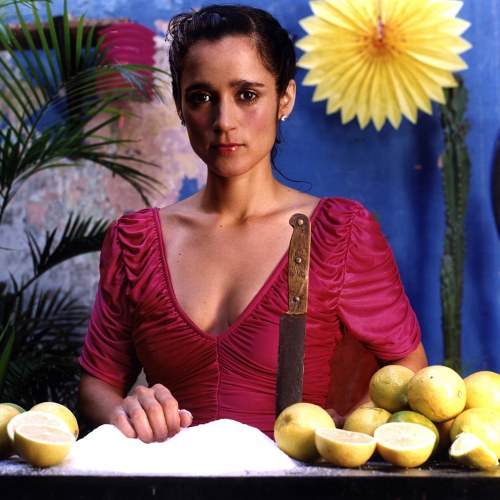 Julieta Venegas